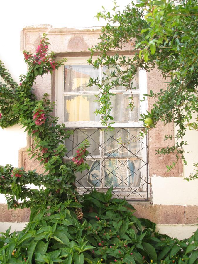 Eolos House Cunda Ayvalı Εξωτερικό φωτογραφία